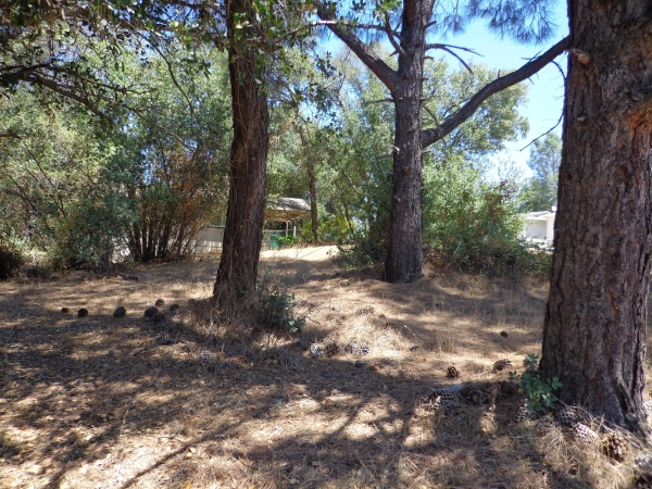 Listing Image #1 - Land for sale at Elizabeth Street, Shasta Lake CA 96019 Listing Image #1 - Land for sale at Elizabeth Street, Shasta Lake CA 96019