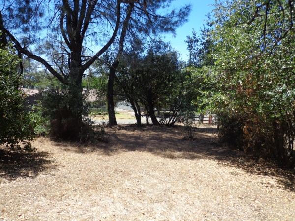 Listing Image #3 - Land for sale at Elizabeth Street, Shasta Lake CA 96019 Listing Image #3 - Land for sale at Elizabeth Street, Shasta Lake CA 96019
