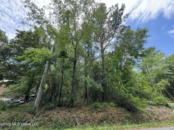 Listing Image #1 - Land for sale at 000 Dicks Street, Waveland MS 39576 Listing Image #1 - Land for sale at 000 Dicks Street, Waveland MS 39576