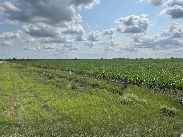 Listing Image #1 - Land for sale at TBD SD Hwy 25, Scotland SD 57059 Listing Image #1 - Land for sale at TBD SD Hwy 25, Scotland SD 57059