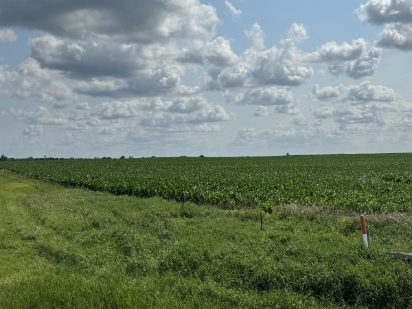 Listing Image #2 - Land for sale at TBD SD Hwy 25, Scotland SD 57059 Listing Image #2 - Land for sale at TBD SD Hwy 25, Scotland SD 57059
