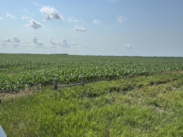 Listing Image #3 - Land for sale at TBD SD Hwy 25, Scotland SD 57059 Listing Image #3 - Land for sale at TBD SD Hwy 25, Scotland SD 57059