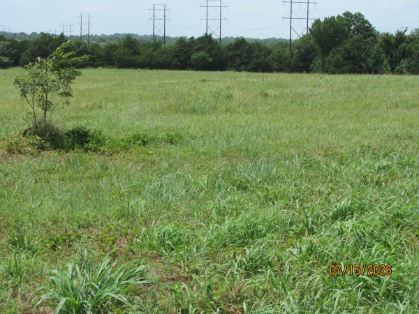 Listing Image #2 - Land for sale at Lot 9 S Hummingbird, Christie OK 74074 Listing Image #2 - Land for sale at Lot 9 S Hummingbird, Christie OK 74074