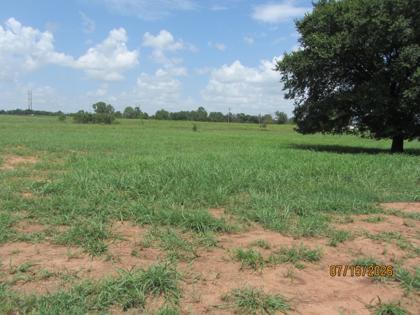 Listing Image #1 - Land for sale at Lot 12 S hummingbird, Stillwater OK 74074 Listing Image #1 - Land for sale at Lot 12 S hummingbird, Stillwater OK 74074