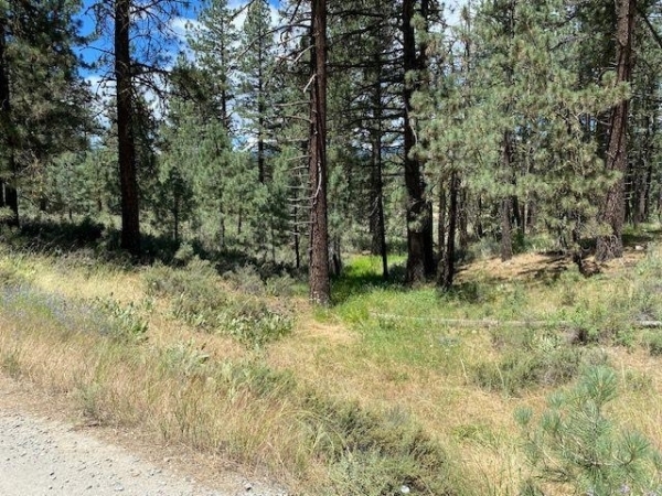 Listing Image #1 - Land for sale at apn#126-113-003 Idle Hour Drive, Portola CA 96122 Listing Image #1 - Land for sale at apn#126-113-003 Idle Hour Drive, Portola CA 96122