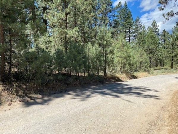 Listing Image #1 - Land for sale at 200 Idle Hour Drive apn 126-112-003, Portola CA 96122