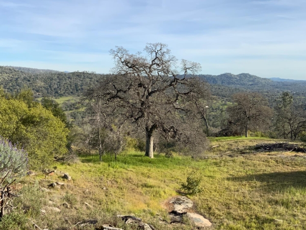 Listing Image #3 - Others for sale at 0 5.36 Ac N Dome Drive, Coarsegold CA 93614 Listing Image #3 - Others for sale at 0 5.36 Ac N Dome Drive, Coarsegold CA 93614