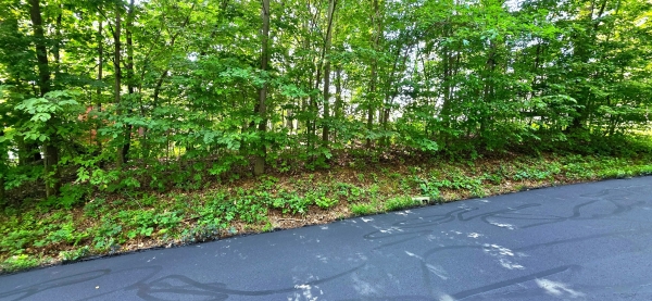 Listing Image #3 - Land for sale at 0 Rosie Gayle Drive NE, Palmyra IN 47164 Listing Image #3 - Land for sale at 0 Rosie Gayle Drive NE, Palmyra IN 47164