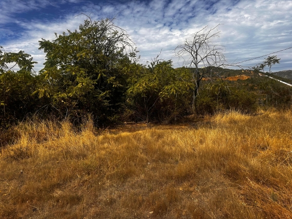 Listing Image #3 - Land for sale at 11578 Market Street, Redding CA 96001 Listing Image #3 - Land for sale at 11578 Market Street, Redding CA 96001