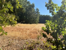 Listing Image #3 - Land for sale at 26519 Thornton Road, Thornton CA 95632