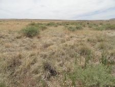 Others property for sale in Laguna, NM