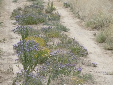 Listing Image #2 - Others for sale at Canyon, Laguna NM 87026