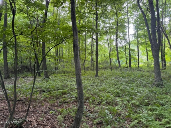 Listing Image #1 - Others for sale at 00 Winterberry Lane #Lot 14, James Creek PA 16657 Listing Image #1 - Others for sale at 00 Winterberry Lane #Lot 14, James Creek PA 16657