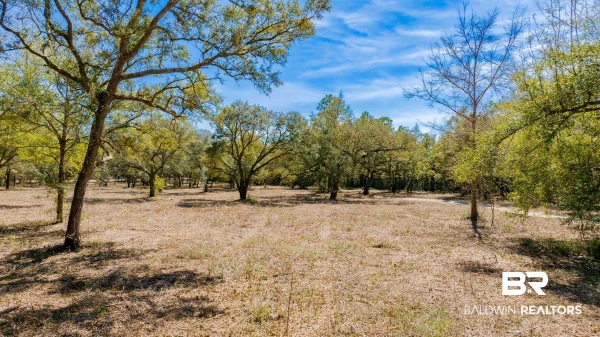 Listing Image #2 - Multi-family for sale at 00 County Road 99, Lillian AL 36549 Listing Image #2 - Multi-family for sale at 00 County Road 99, Lillian AL 36549