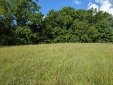 Listing Image #3 - Others for sale at 0 Flowertown Rd, Tullahoma TN 37388