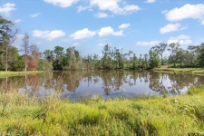 Listing Image #3 - Others for sale at 5681 An County Road 531, Palestine TX 75801