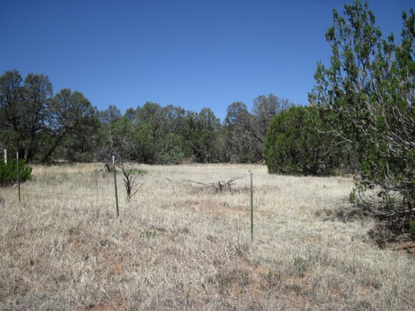 Listing Image #1 - Others for sale at 156 Jesse James Road, Edgewood NM 87015 Listing Image #1 - Others for sale at 156 Jesse James Road, Edgewood NM 87015