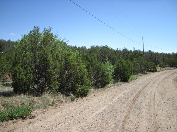 Listing Image #3 - Others for sale at 156 Jesse James Road, Edgewood NM 87015 Listing Image #3 - Others for sale at 156 Jesse James Road, Edgewood NM 87015