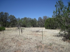 Others property for sale in Edgewood, NM