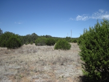 Listing Image #2 - Others for sale at 156 Jesse James Road, Edgewood NM 87015