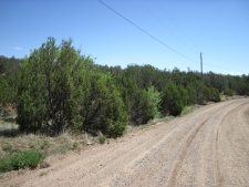 Listing Image #3 - Others for sale at 156 Jesse James Road, Edgewood NM 87015