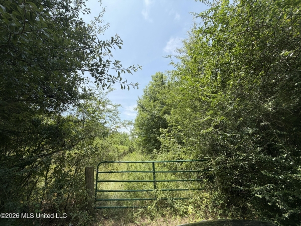 Listing Image #2 - Land for sale at Old Jackson Road, Madison MS 39110 Listing Image #2 - Land for sale at Old Jackson Road, Madison MS 39110