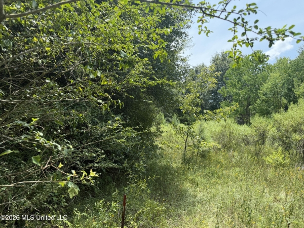 Listing Image #3 - Land for sale at Old Jackson Road, Madison MS 39110 Listing Image #3 - Land for sale at Old Jackson Road, Madison MS 39110