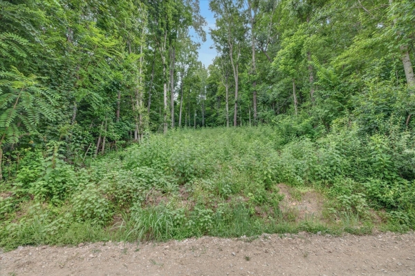Listing Image #2 - Land for sale at 737 Lee Hollow Rd, Indian Mound TN 37079
