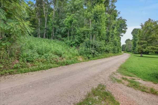 Listing Image #3 - Land for sale at 737 Lee Hollow Rd, Indian Mound TN 37079