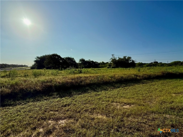 Listing Image #3 - Others for sale at 0 Hwy 59, Other TX 77963