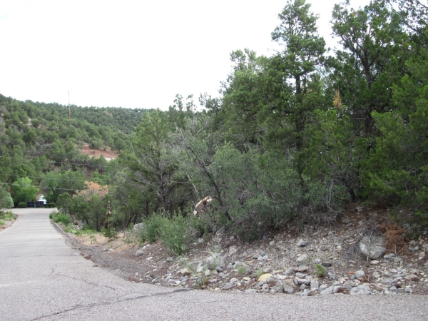 Listing Image #1 - Others for sale at 0 Beaver Lane, Cedar Crest NM 87008 Listing Image #1 - Others for sale at 0 Beaver Lane, Cedar Crest NM 87008