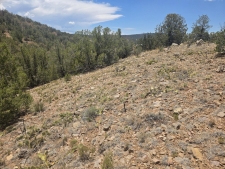 Listing Image #3 - Others for sale at 2 Lakeview Drive, Sandia Park NM 87047