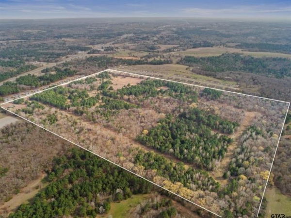 Listing Image #1 - Land for sale at 19955 County Road 4118, Lindale TX 75771