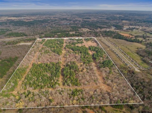 Listing Image #3 - Land for sale at 19955 County Road 4118, Lindale TX 75771