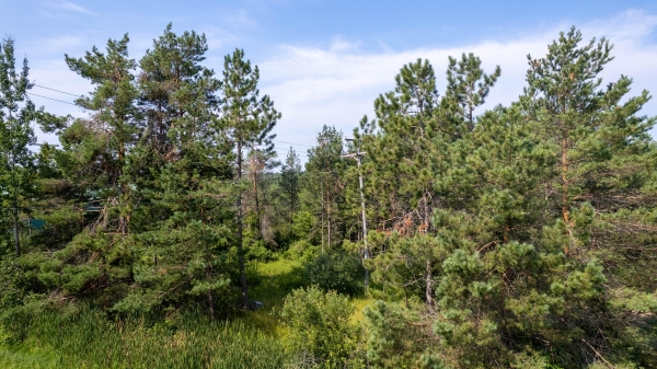 Listing Image #3 - Others for sale at 733 Riggs Drive, Cheboygan MI 49721