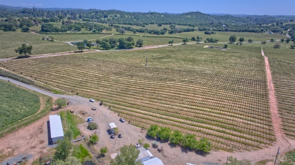 Listing Image #3 - Land for sale at 20527 Shenandoah School Road, Plymouth CA 95669 Listing Image #3 - Land for sale at 20527 Shenandoah School Road, Plymouth CA 95669