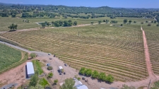 Listing Image #3 - Land for sale at 20527 Shenandoah School Road, Plymouth CA 95669