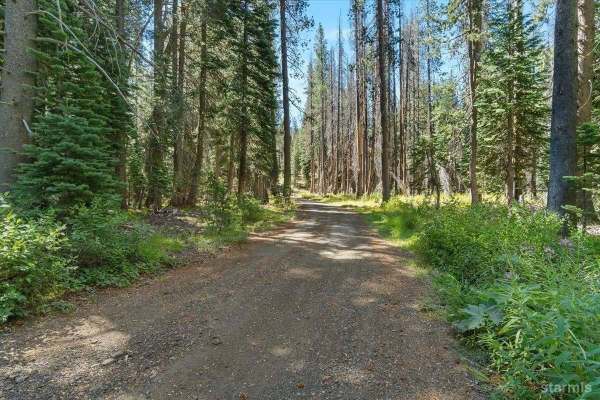 Listing Image #1 - Others for sale at 20414 Us Highway 50, South Lake Tahoe CA 96155 Listing Image #1 - Others for sale at 20414 Us Highway 50, South Lake Tahoe CA 96155