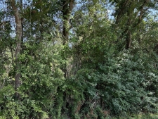 Listing Image #3 - Land for sale at Mennonite Road, Gulfport MS 39503