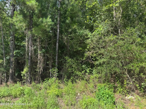 Listing Image #1 - Land for sale at 000 Schrader Court, Saucier MS 39574 Listing Image #1 - Land for sale at 000 Schrader Court, Saucier MS 39574