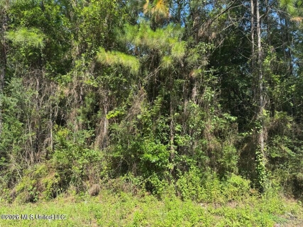 Listing Image #3 - Land for sale at 000 Schrader Court, Saucier MS 39574 Listing Image #3 - Land for sale at 000 Schrader Court, Saucier MS 39574