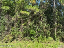 Listing Image #3 - Land for sale at 000 Schrader Court, Saucier MS 39574
