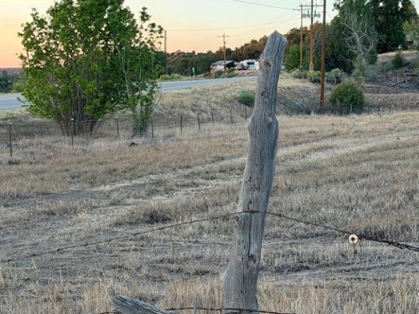 Listing Image #1 - Land for sale at 9473 Rd 42, Mancos CO 81328 Listing Image #1 - Land for sale at 9473 Rd 42, Mancos CO 81328