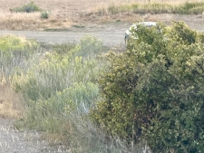 Listing Image #2 - Land for sale at 9473 Rd 42, Mancos CO 81328