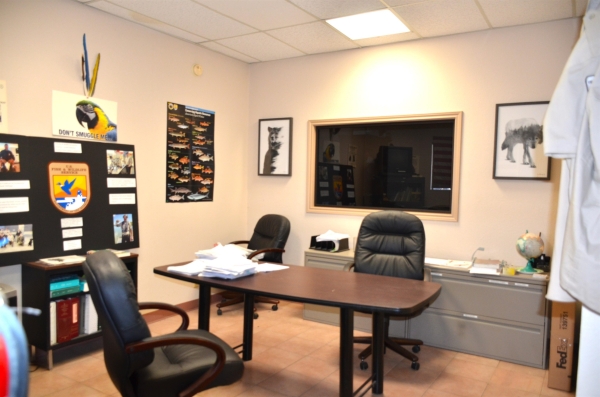 Listing Image #3 - Office for sale at 220 W Hillside Rd, Laredo TX 78041 Listing Image #3 - Office for sale at 220 W Hillside Rd, Laredo TX 78041