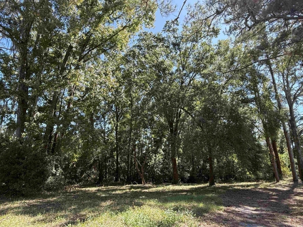 Listing Image #2 - Others for sale at Apalachee Parkway, Tallahassee FL 32311 Listing Image #2 - Others for sale at Apalachee Parkway, Tallahassee FL 32311