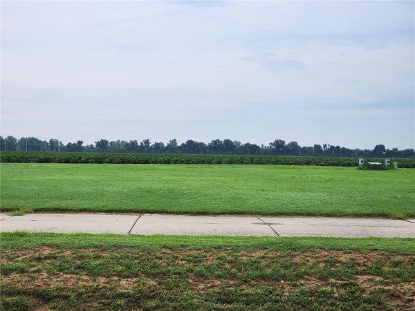 Listing Image #1 - Land for sale at 809 Bollweevil Blvd, Sikeston MO 63801