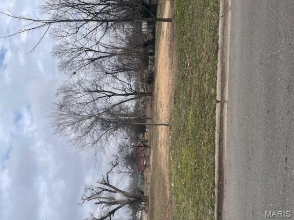 Listing Image #3 - Land for sale at 315 Jackson Street, Sikeston MO 63801 Listing Image #3 - Land for sale at 315 Jackson Street, Sikeston MO 63801