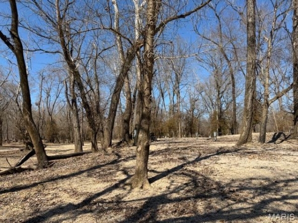 Listing Image #3 - Land for sale at Lot 39 Current River RV Park, Van Buren MO 63965 Listing Image #3 - Land for sale at Lot 39 Current River RV Park, Van Buren MO 63965