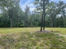 Listing Image #3 - Land for sale at 5031 Port Perry Drive, Perryville MO 63775